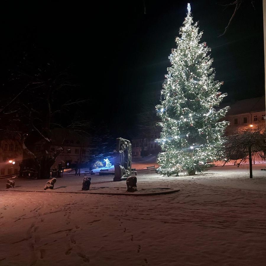 U Vahy Jachymov Apartment Bagian luar foto